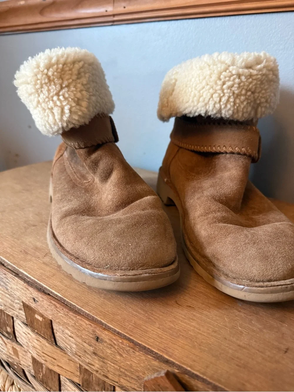 UGG cedric chestnut